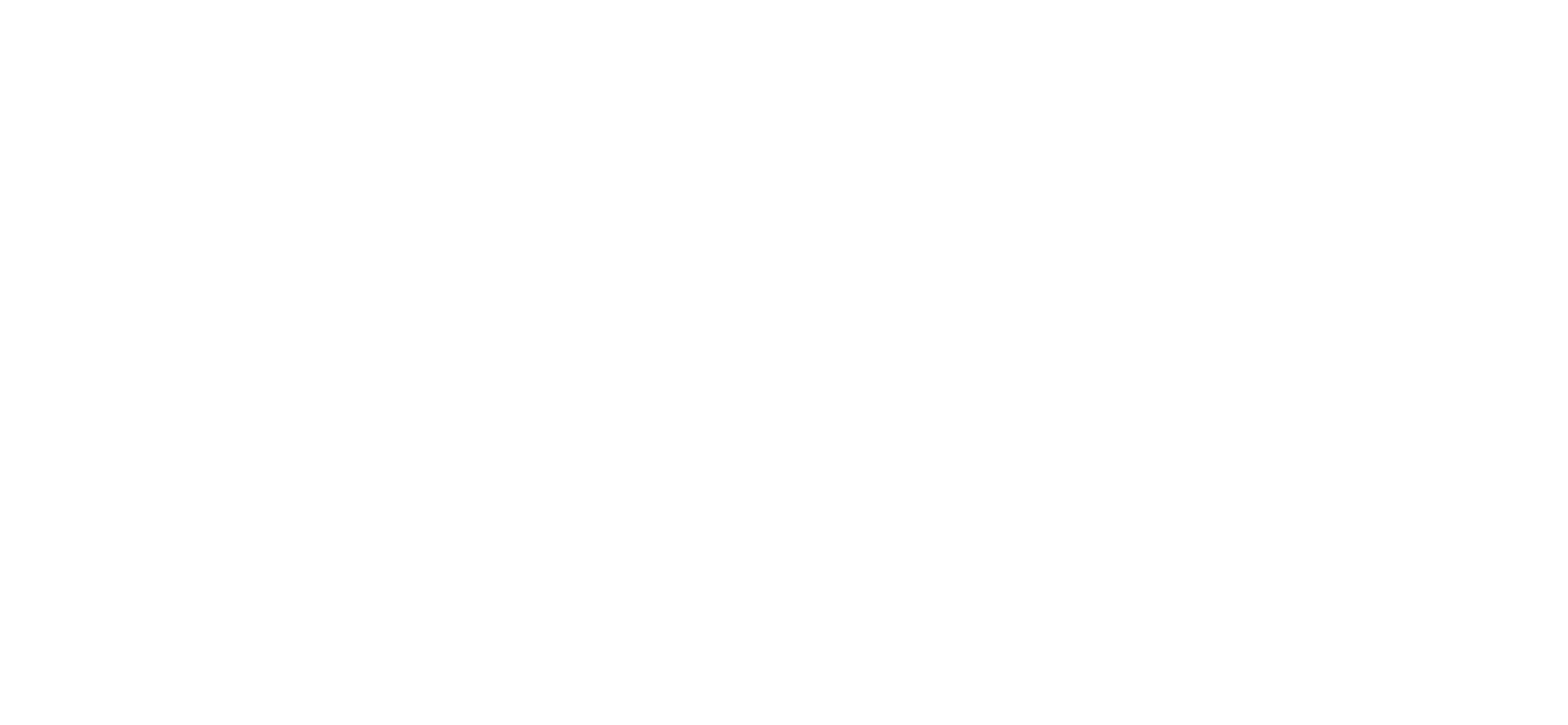 City Varvet Logo White